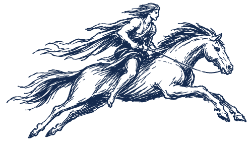 Selvaggio Partners